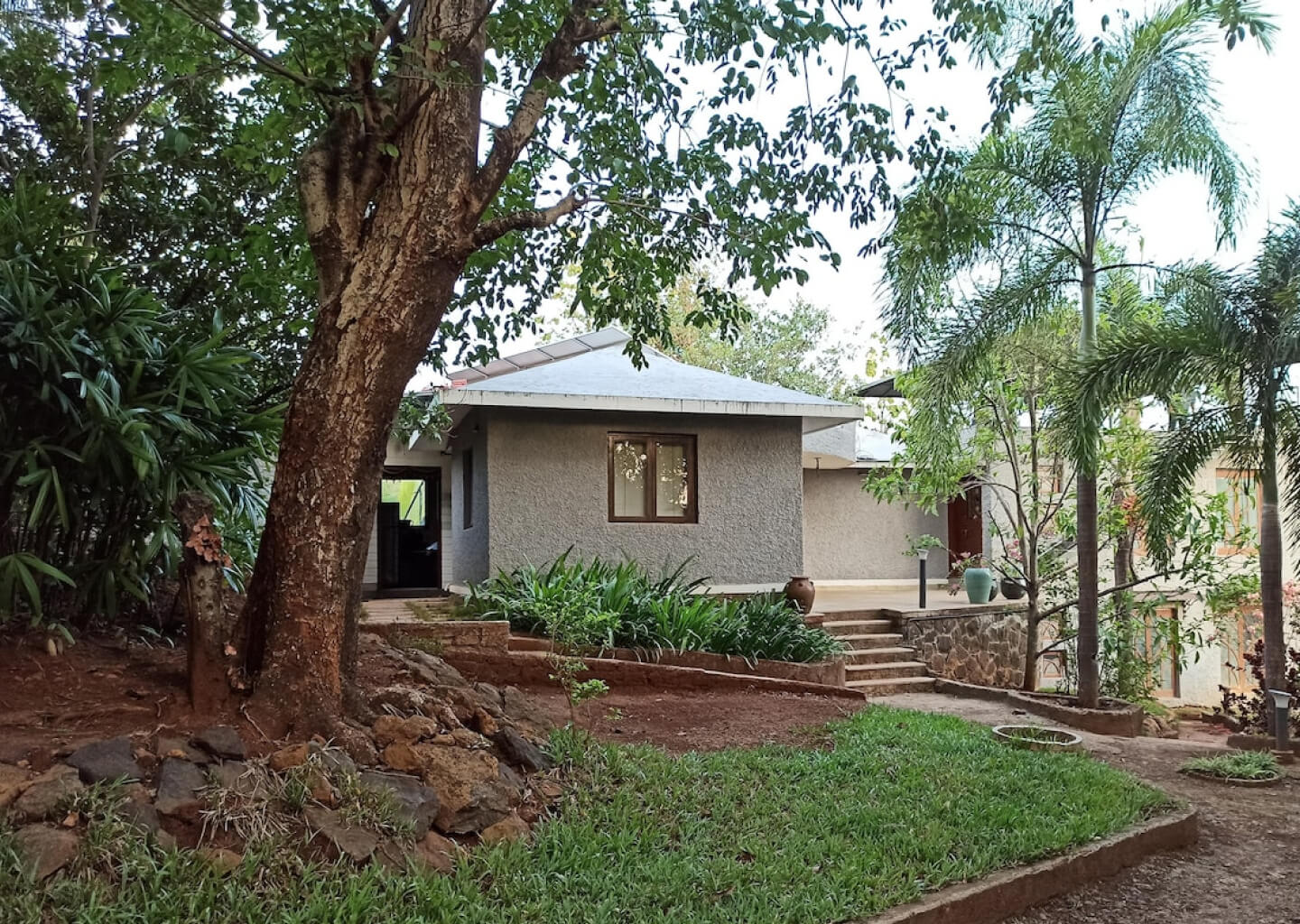 Guest suite · forest view