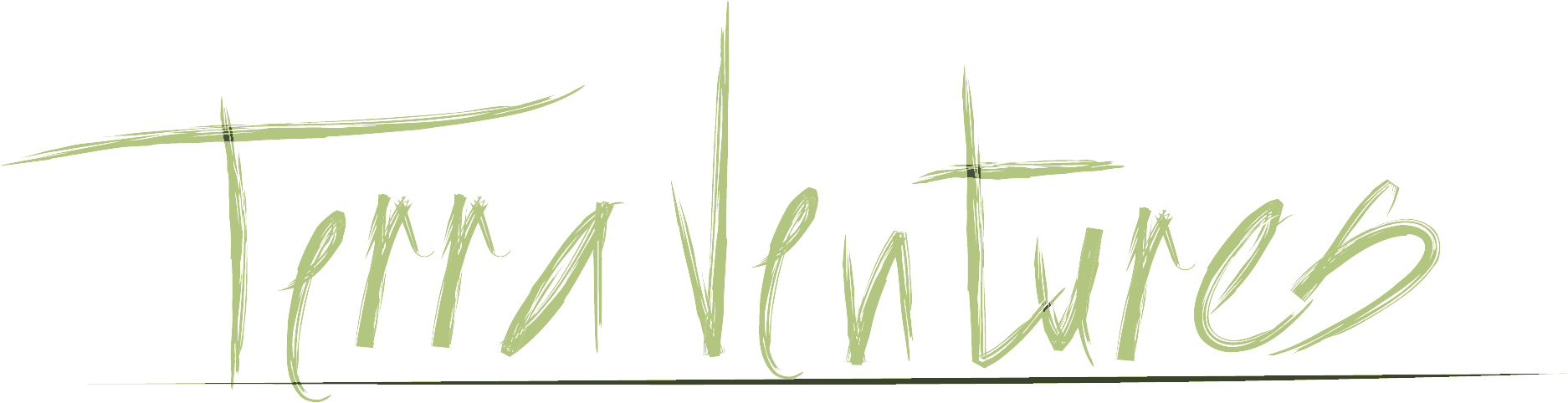 TerraVentures